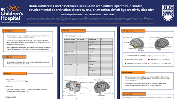 Brain Similarities and Differences in Children with Autism Spectrum Disorder