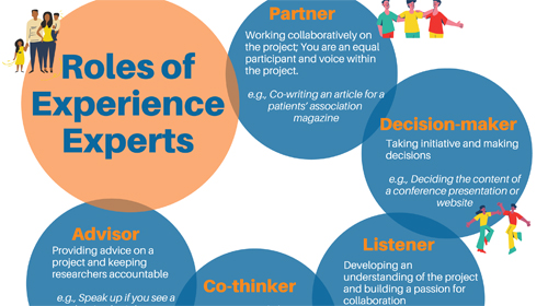 Roles of Experience Experts