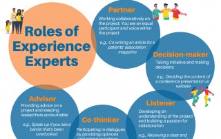 Roles of Experience Experts