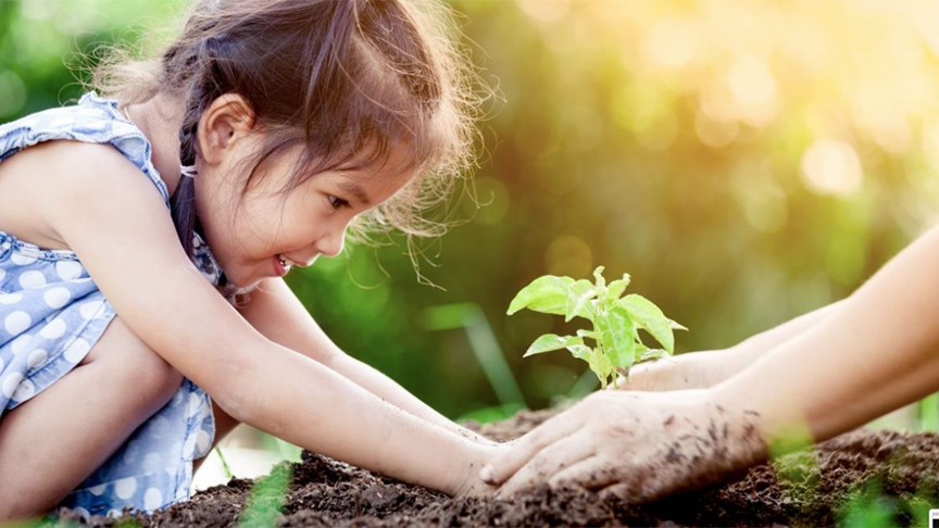 Une enfant et d’une personne adulte plantant un semis ensemble